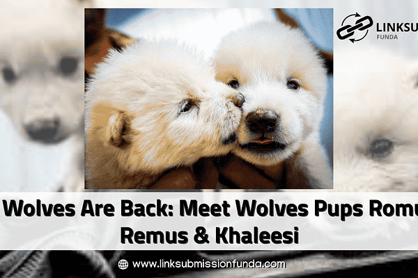Dire wolves pups- Romulus and Remus.